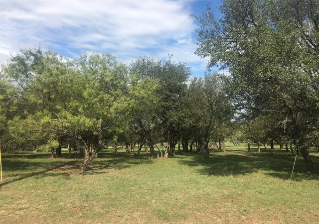 Homes for sale in May, TX | Lot 1074 Oak Point Dr, May, TX 76857 | MLS# 20668123