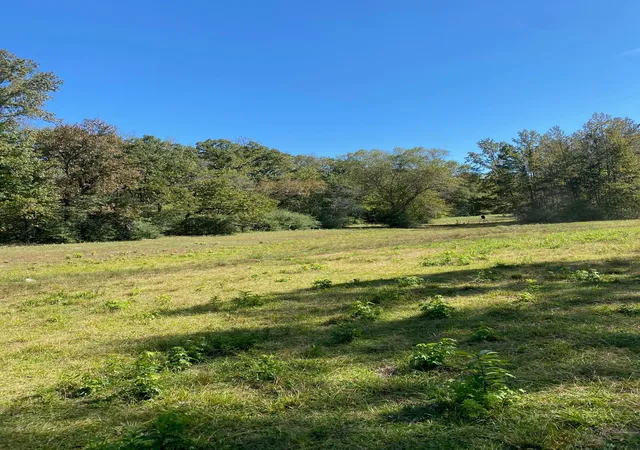 Homes for sale in Oakwood, TX | Tbd 004 County Road 242, Oakwood, TX 75855 | MLS# 20668192