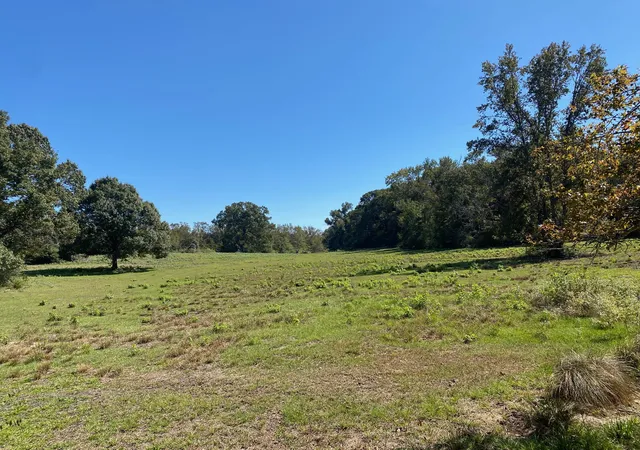 Homes for sale in Oakwood, TX | Tbd 004 County Road 242, Oakwood, TX 75855 | MLS# 20668192