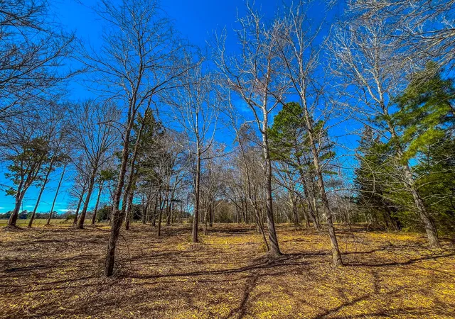 Photo 1 of Land for sale at Tract 1 County Road 1713, Jacksonville, TX 75766 | MLS# 20682634 | Listing updated on 2026-09-22