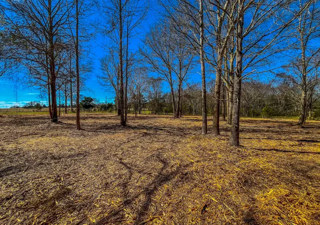Photo 2 of Land for sale at Tract 1 County Road 1713, Jacksonville, TX 75766 | MLS# 20682634 | Listing updated on 2026-09-22