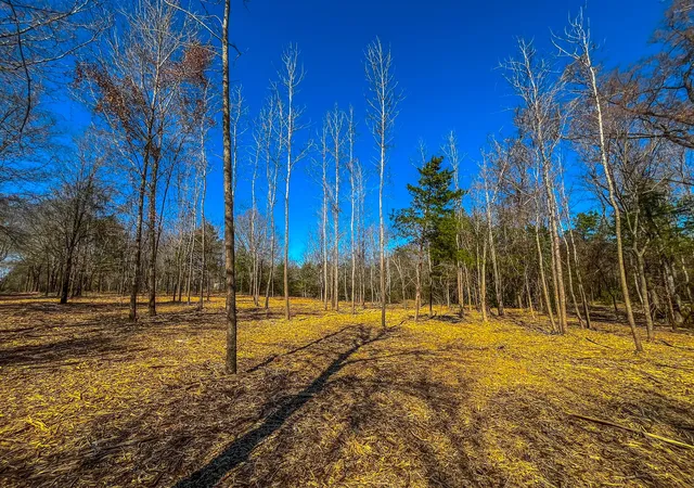 Photo 3 of Land for sale at Tract 1 County Road 1713, Jacksonville, TX 75766 | MLS# 20682634 | Listing updated on 2026-09-22