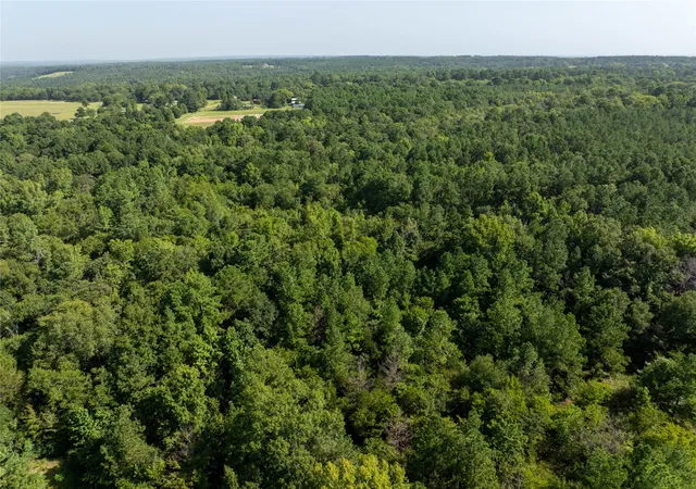 Photo 3 of Land for sale at Tract 1 County Road 1713, Jacksonville, TX 75766 | MLS# 20682634 | Listing updated on 2026-09-22