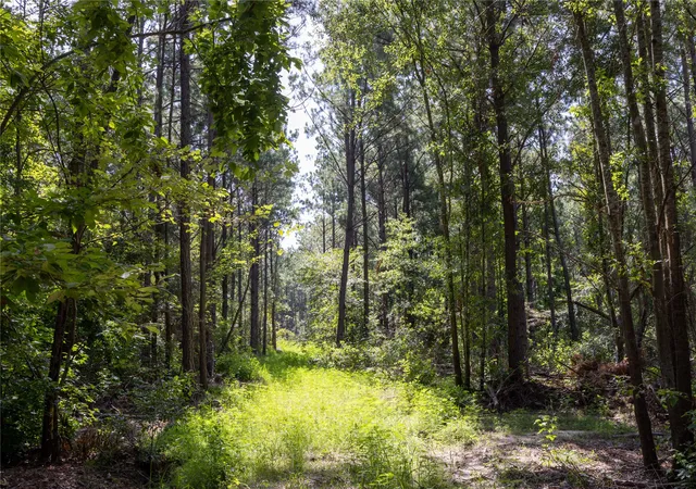 Photo 4 of Land for sale at Tract 1 County Road 1713, Jacksonville, TX 75766 | MLS# 20682634 | Listing updated on 2026-09-22