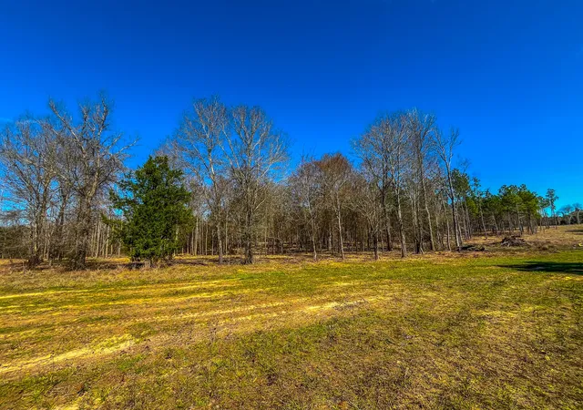 Photo 1 of Land for sale at Tract 2 County Road 1713, Jacksonville, TX 75766 | MLS# 20682729 | Listing updated on 2026-09-22