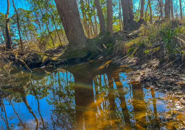 Photo 2 of Land for sale at Tract 2 County Road 1713, Jacksonville, TX 75766 | MLS# 20682729 | Listing updated on 2026-09-22