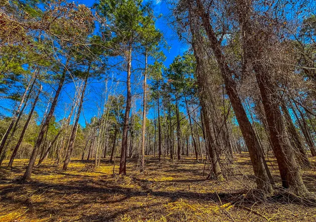 Photo 3 of Land for sale at Tract 2 County Road 1713, Jacksonville, TX 75766 | MLS# 20682729 | Listing updated on 2026-09-22