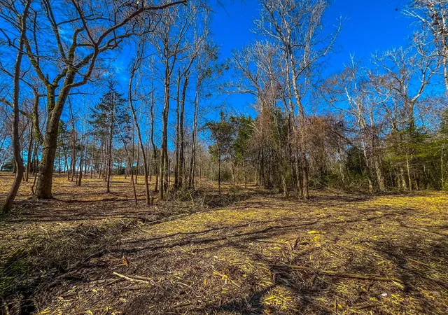 Photo 3 of Land for sale at Tract 2 County Road 1713, Jacksonville, TX 75766 | MLS# 20682729 | Listing updated on 2026-09-22