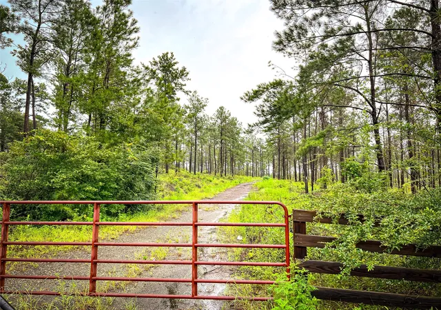 16th image of 5 Cr 257, Jasper, TX 75951 | MLS# 20700833