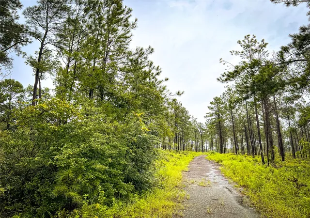 2nd image of 5 Cr 257, Jasper, TX 75951 | MLS# 20700833