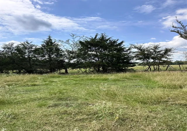 Photo 3 of Land for sale at 200 Vz Cr 2422, Mabank, TX 75147 | MLS# 20702858 | Listing updated on 2026-09-17
