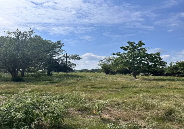 Photo 4 of Land for sale at 200 Vz Cr 2422, Mabank, TX 75147 | MLS# 20702858 | Listing updated on 2026-09-17