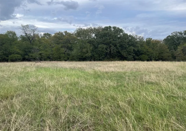 Homes for sale in Mingus, TX | Tbd Beardn Ln, Mingus, TX 76453 | MLS# 20707554