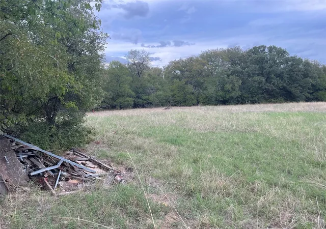 Homes for sale in Mingus, TX | Tbd Beardn Ln, Mingus, TX 76453 | MLS# 20707554