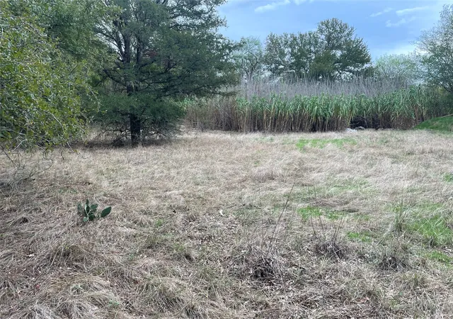Homes for sale in Mingus, TX | Tbd Beardn Ln, Mingus, TX 76453 | MLS# 20707554