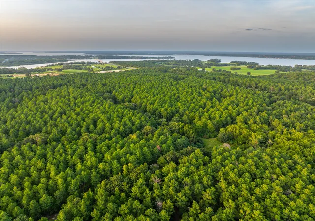 Photo 1 of Land for sale at Tract 5 Hwy 155, Frankston, TX 75763 | MLS# 20707575 | Listing updated on 2026-07-13