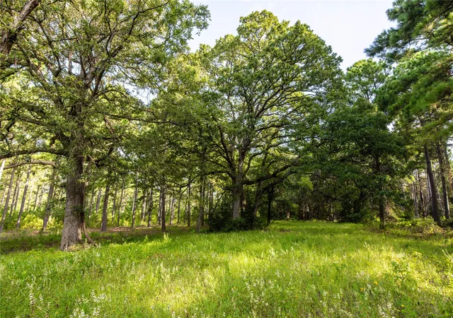 Photo 2 of Land for sale at Tract 5 Hwy 155, Frankston, TX 75763 | MLS# 20707575 | Listing updated on 2026-07-13