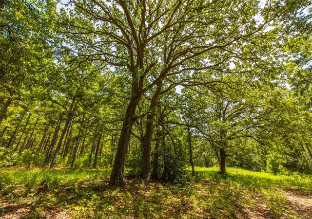 Photo 3 of Land for sale at Tract 5 Hwy 155, Frankston, TX 75763 | MLS# 20707575 | Listing updated on 2026-07-13