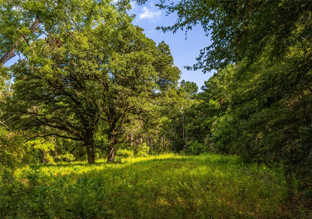Photo 1 of Land for sale at Tract 6 Hwy 155, Frankston, TX 75763 | MLS# 20707581 | Listing updated on 2026-07-13