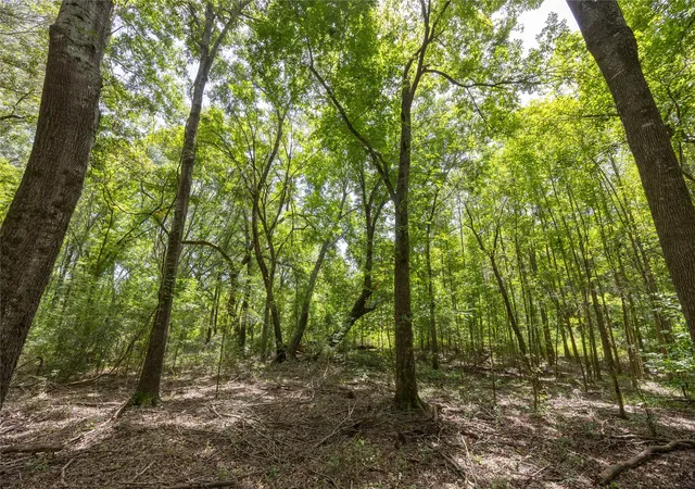 Photo 3 of Land for sale at Tract 6 Hwy 155, Frankston, TX 75763 | MLS# 20707581 | Listing updated on 2026-07-13