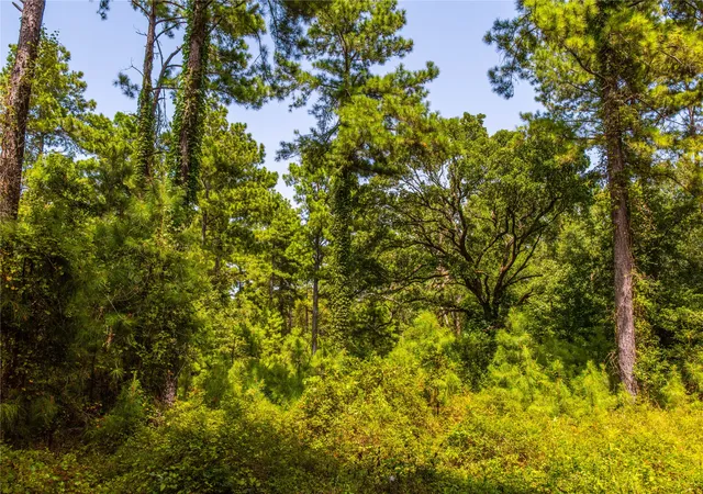 Photo 3 of Land for sale at Tract 7 County Road 4221, Frankston, TX 75763 | MLS# 20707649 | Listing updated on 2026-07-13