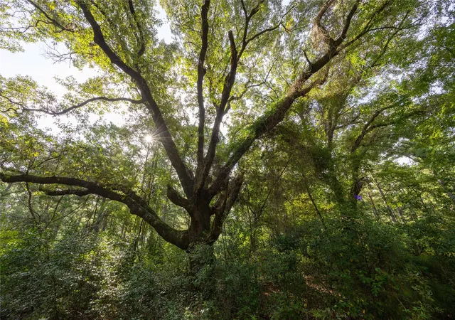 Photo 3 of Land for sale at Tract 8 County Road 4221, Frankston, TX 75763 | MLS# 20707763 | Listing updated on 2026-07-13