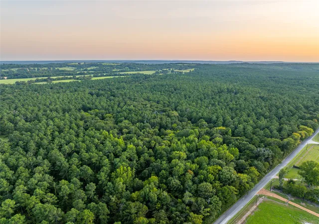 Photo 1 of Land for sale at Tract 10 County Road 4222, Frankston, TX 75763 | MLS# 20707829 | Listing updated on 2026-07-13
