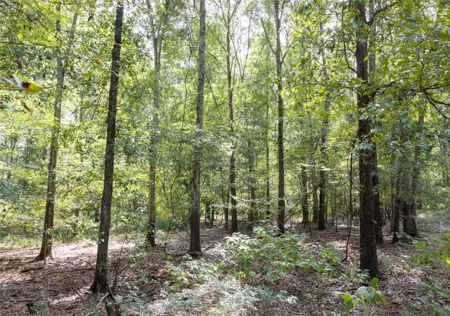 Photo 2 of Land for sale at Tract 10 County Road 4222, Frankston, TX 75763 | MLS# 20707829 | Listing updated on 2026-07-13