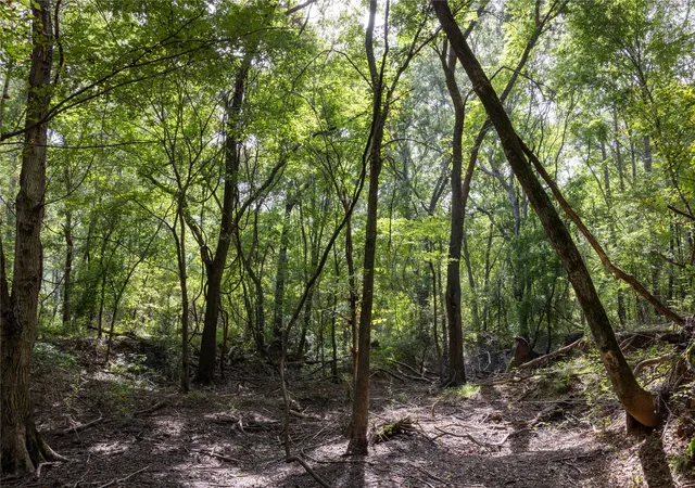 Photo 3 of Land for sale at Tract 10 County Road 4222, Frankston, TX 75763 | MLS# 20707829 | Listing updated on 2026-07-13