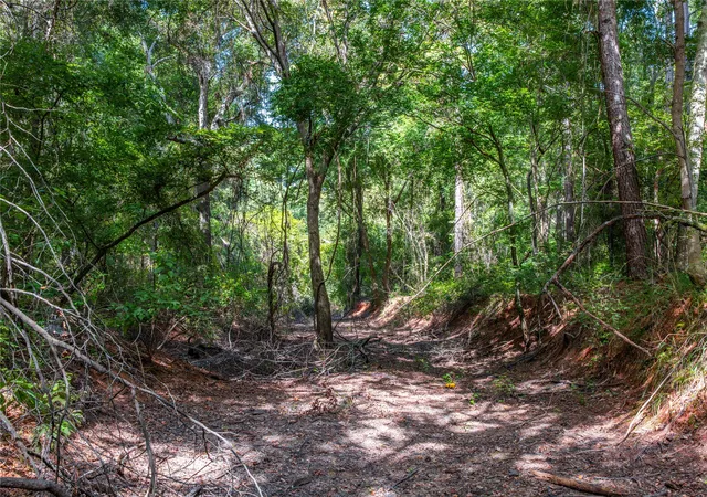 Photo 3 of Land for sale at Tract 10 County Road 4222, Frankston, TX 75763 | MLS# 20707829 | Listing updated on 2026-07-13