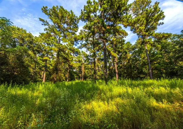 Land for sale at Tract 11 County Road 4222, Frankston, TX 75763 | MLS# 20707851