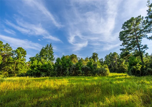 Photo 2 of Land for sale at Tract 11 County Road 4222, Frankston, TX 75763 | MLS# 20707851 | Listing updated on 2026-07-13