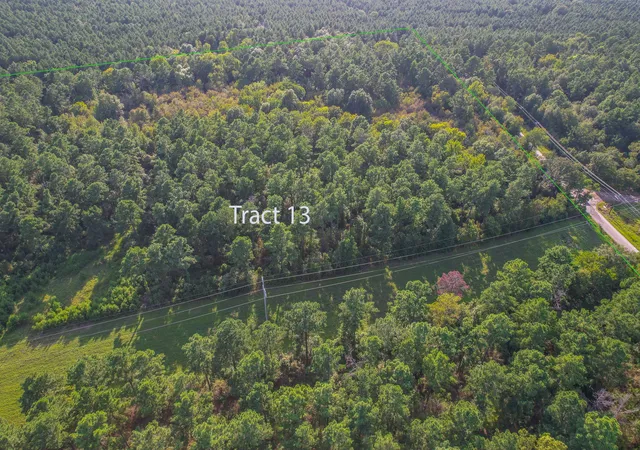 Photo 1 of Land for sale at Tract 13 County Road 4224, Frankston, TX 75763 | MLS# 20707907 | Listing updated on 2026-07-13