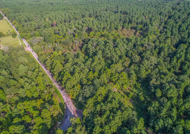 Photo 2 of Land for sale at Tract 13 County Road 4224, Frankston, TX 75763 | MLS# 20707907 | Listing updated on 2026-07-13