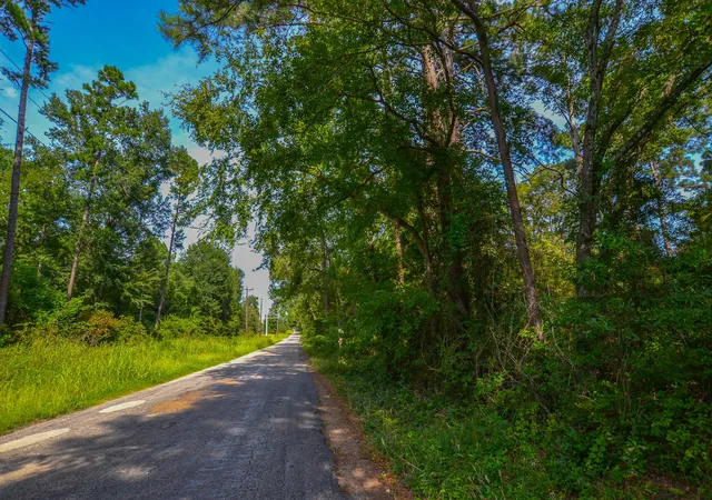 Photo 3 of Land for sale at Tract 13 County Road 4224, Frankston, TX 75763 | MLS# 20707907 | Listing updated on 2026-07-13
