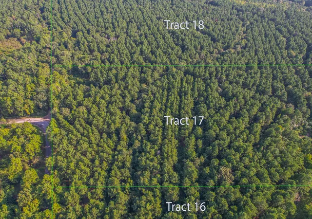 1st image of Tract 17 County Road 4224, Frankston, TX 75763 | MLS# 20708112