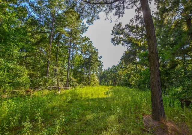 2nd image of Tract 17 County Road 4224, Frankston, TX 75763 | MLS# 20708112
