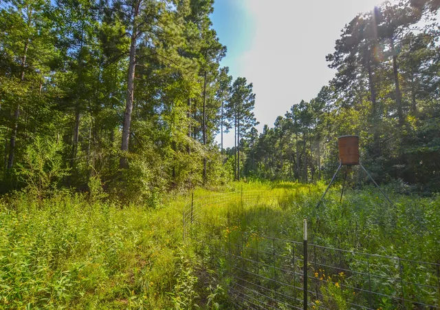 3rd image of Tract 17 County Road 4224, Frankston, TX 75763 | MLS# 20708112