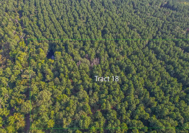 Land for sale at Tract 18 County Road 4224, Frankston, TX 75763 | MLS# 20708138