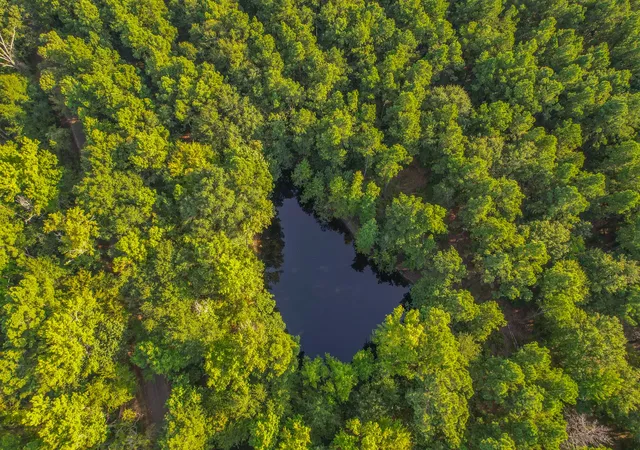Photo 2 of Land for sale at Tract 18 County Road 4224, Frankston, TX 75763 | MLS# 20708138 | Listing updated on 2026-07-13