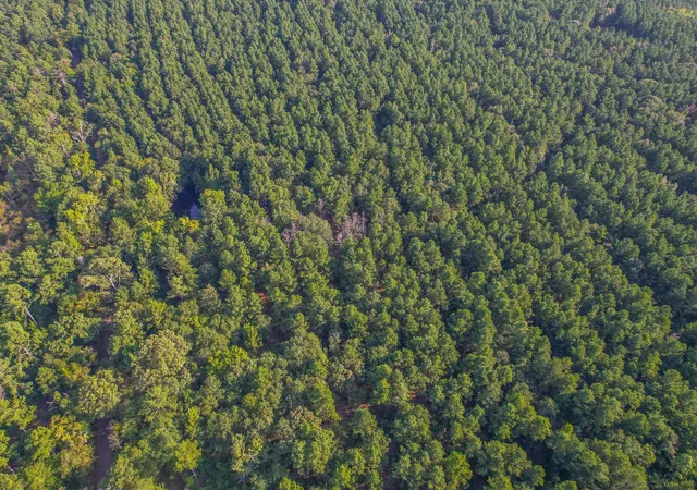 Photo 3 of Land for sale at Tract 18 County Road 4224, Frankston, TX 75763 | MLS# 20708138 | Listing updated on 2026-07-13