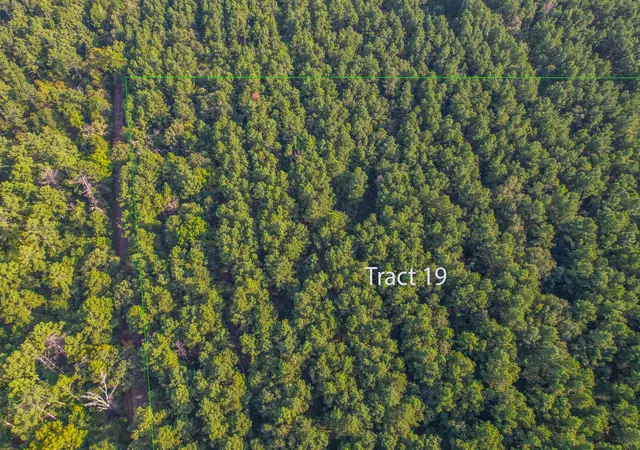 Photo 1 of Land for sale at Tract 19 County Road 4224, Frankston, TX 75763 | MLS# 20708167 | Listing updated on 2026-07-13