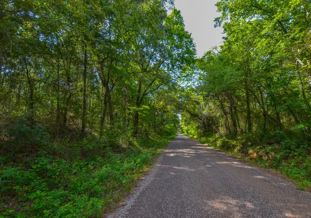 Photo 2 of Land for sale at Tract 19 County Road 4224, Frankston, TX 75763 | MLS# 20708167 | Listing updated on 2026-07-13
