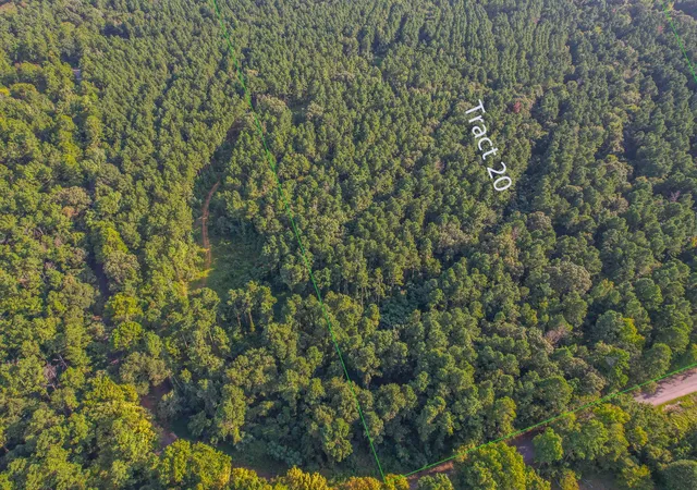 Photo 1 of Land for sale at Tract 20 County Road 4224, Frankston, TX 75763 | MLS# 20708188 | Listing updated on 2026-07-13