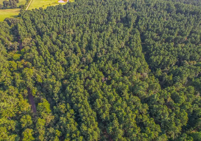 Photo 2 of Land for sale at Tract 20 County Road 4224, Frankston, TX 75763 | MLS# 20708188 | Listing updated on 2026-07-13