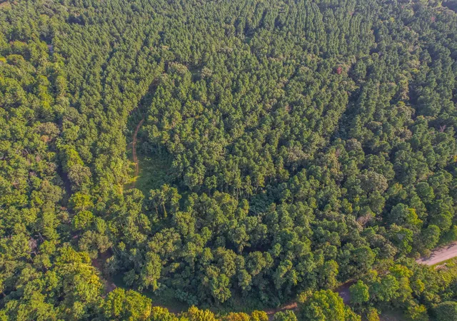 Photo 3 of Land for sale at Tract 20 County Road 4224, Frankston, TX 75763 | MLS# 20708188 | Listing updated on 2026-07-13