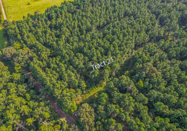 Photo 1 of Land for sale at Tract 21 County Road 4224, Frankston, TX 75763 | MLS# 20708208 | Listing updated on 2026-07-13