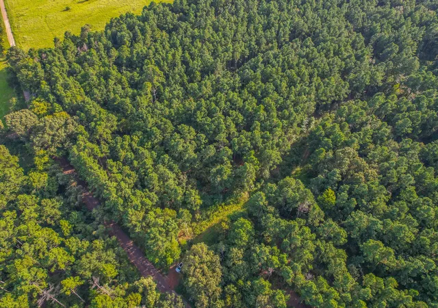 Photo 3 of Land for sale at Tract 21 County Road 4224, Frankston, TX 75763 | MLS# 20708208 | Listing updated on 2026-07-13