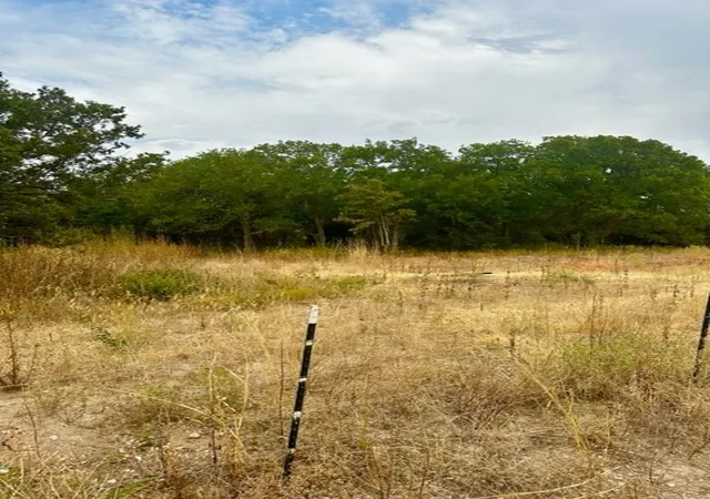 Photo 1 of Land for sale at 1 Tract 1 Private Rd 3508, Bridgeport, TX 76426 | MLS# 20721958 | Listing updated on 2026-07-09