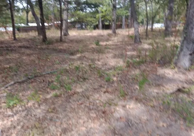 Photo 3 of Land for sale at Lot 26 County Rd 3706, Wills Point, TX 75169 | MLS# 20724882 | Listing updated on 2026-09-26